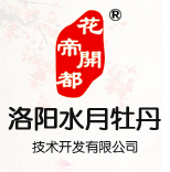 水月牡丹，洛陽(yáng)水月牡丹技術(shù)開(kāi)發(fā)有限公司